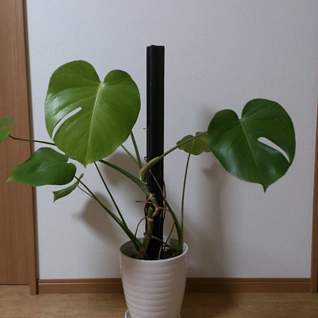 KOICHIさんの実例写真