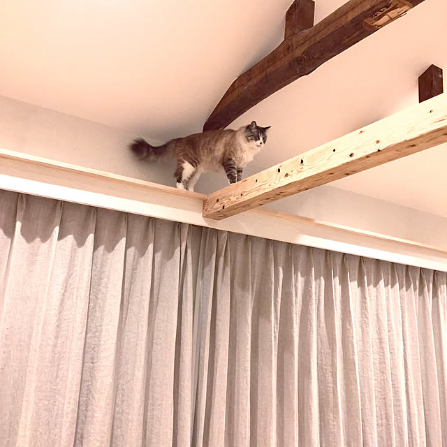 masyacanonさんの実例写真