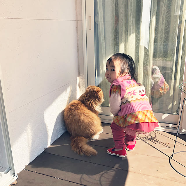 piyolandさんの実例写真