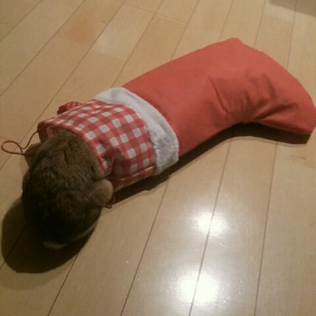 acaさんの実例写真