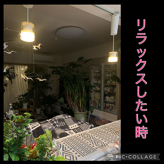 Aqettyさんの実例写真