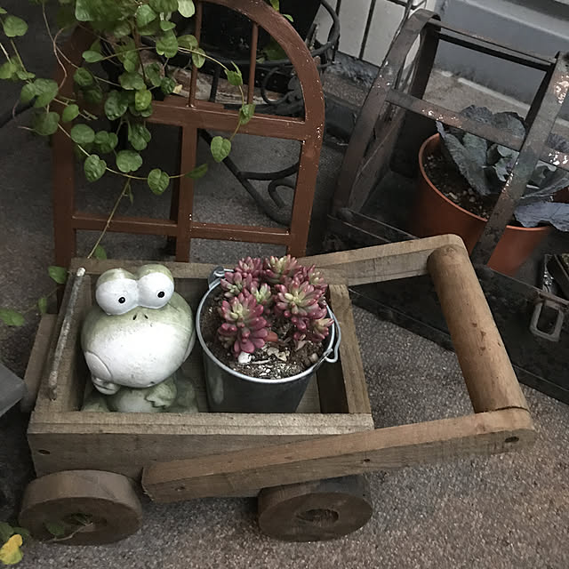 rinrinさんの実例写真