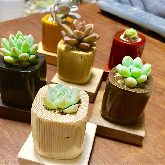 shirukuさんの実例写真