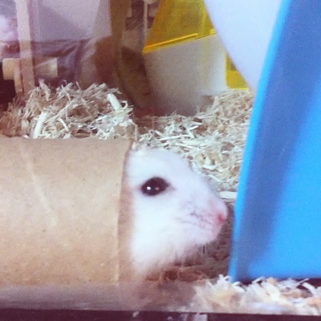 taichi_sqさんの実例写真