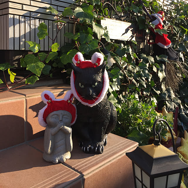 nonさんの実例写真