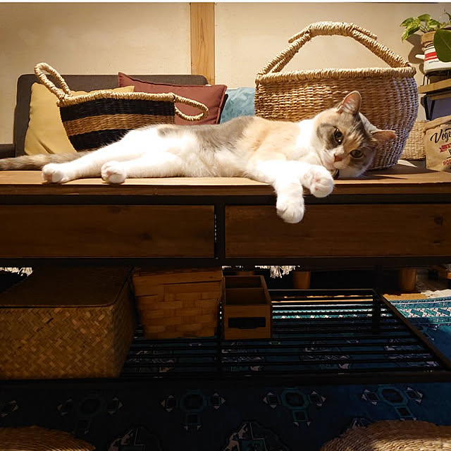 fukuさんの実例写真