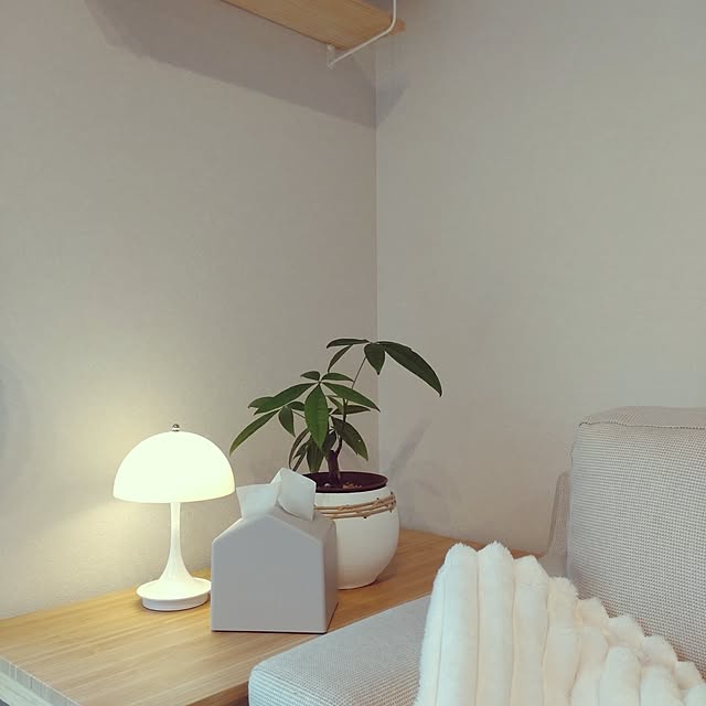 tan5さんの実例写真