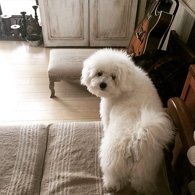 happy_bridgeさんの実例写真