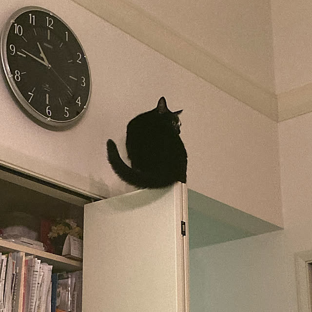 akuakuさんの実例写真