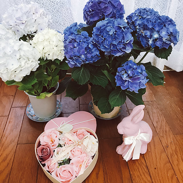 yukarinさんの実例写真