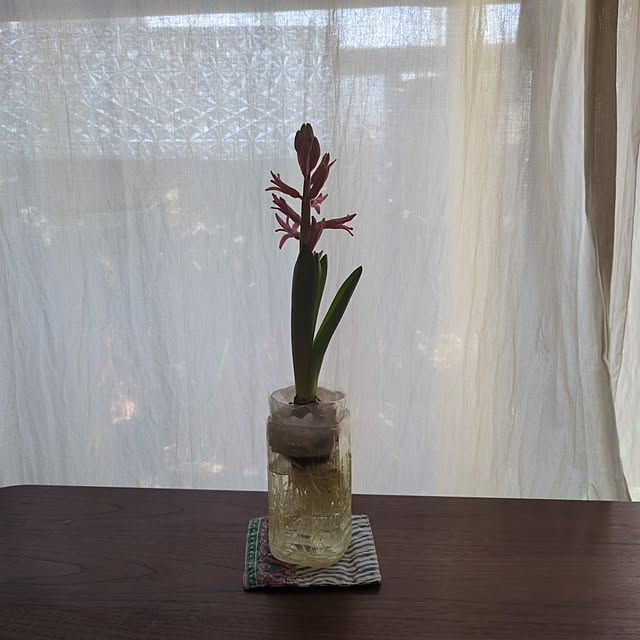 popoさんの実例写真