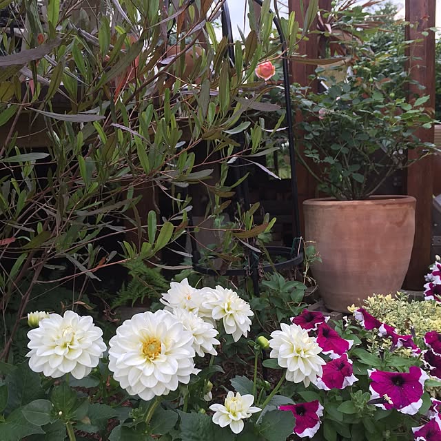 happygardenさんの実例写真