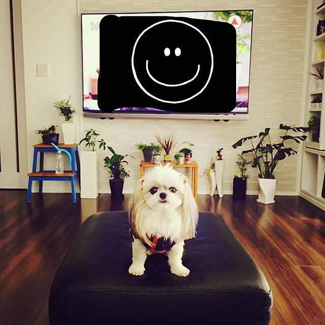 Maikoさんの実例写真