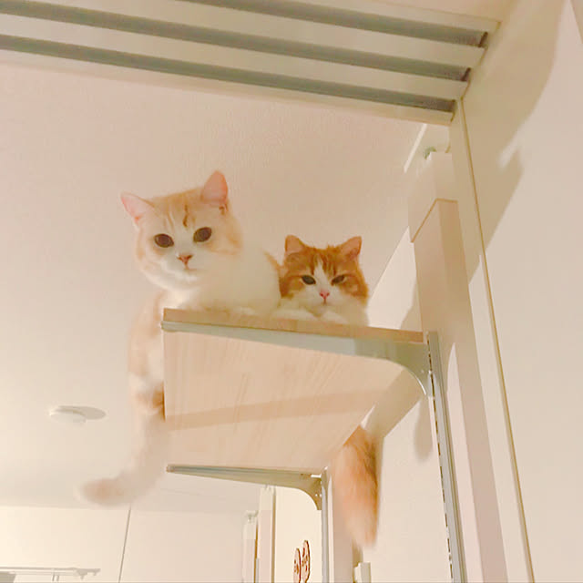 H.Tさんの実例写真