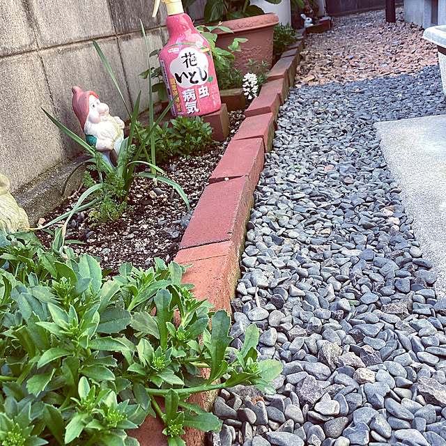 richanさんの実例写真