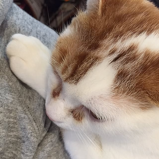 minkokoさんの実例写真