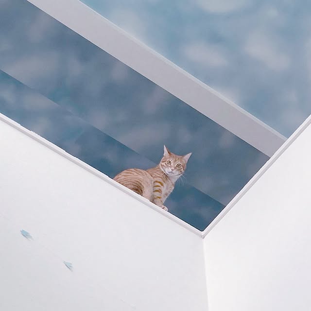 mokocoさんの実例写真