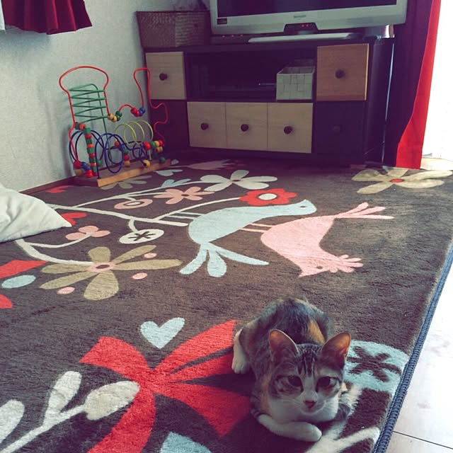 Mayさんの実例写真