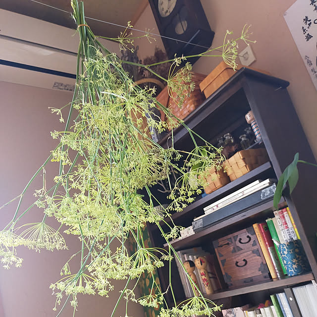 Yanagisawatomokoさんの実例写真