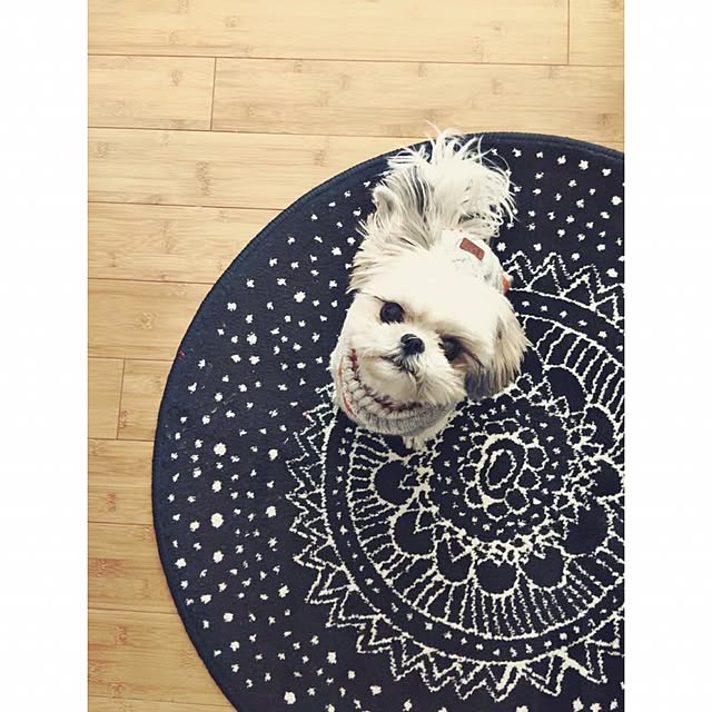 Sakuraさんの実例写真