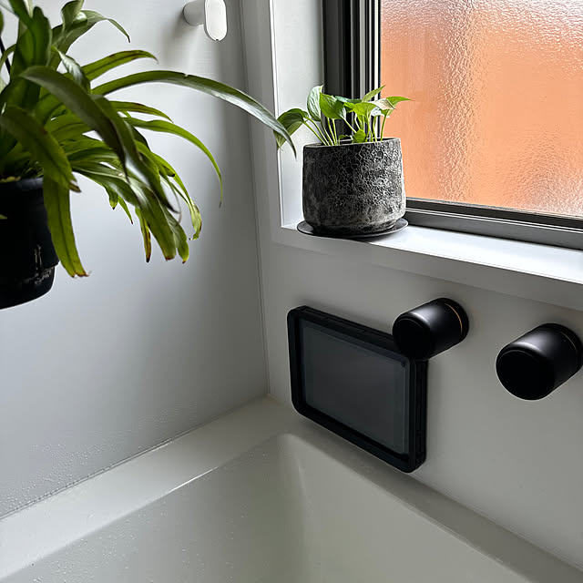 バス/トイレ/植物/DIY/bess/BESSの家...などのインテリア実例 - 2024-06-10 12:56:53