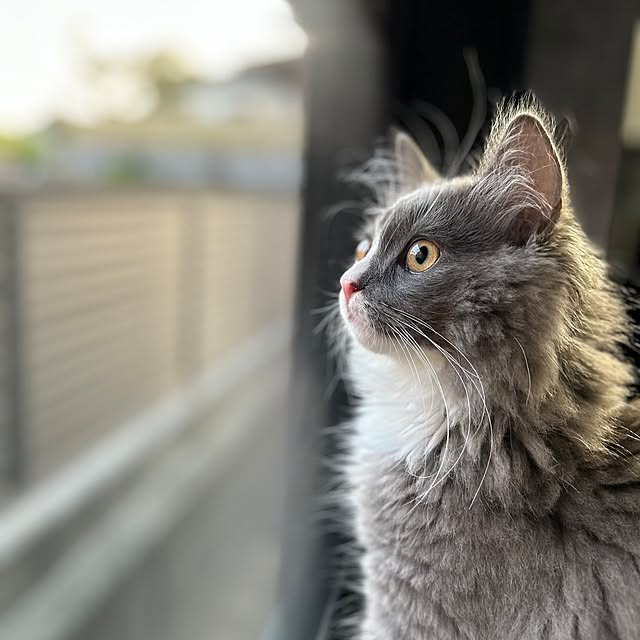 maさんの実例写真