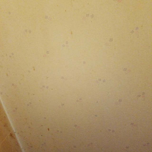 rocky.0429.ponさんの実例写真
