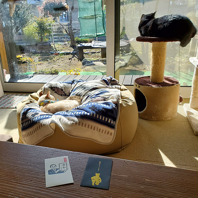 nanaさんの実例写真