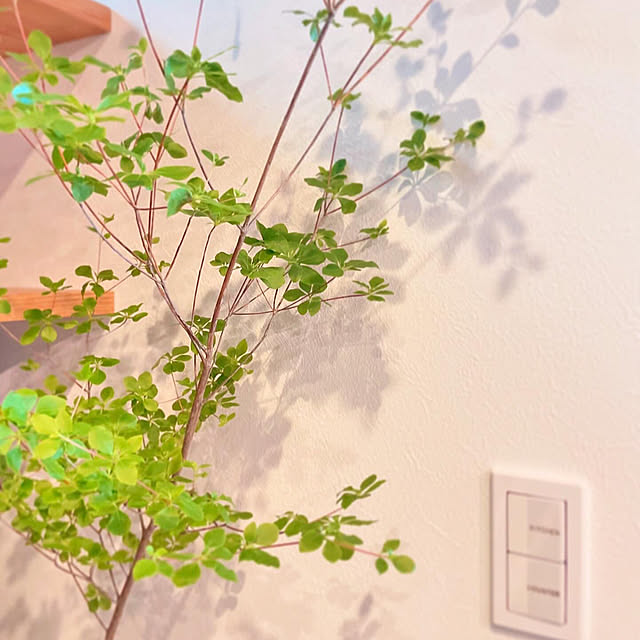 katakoさんの部屋