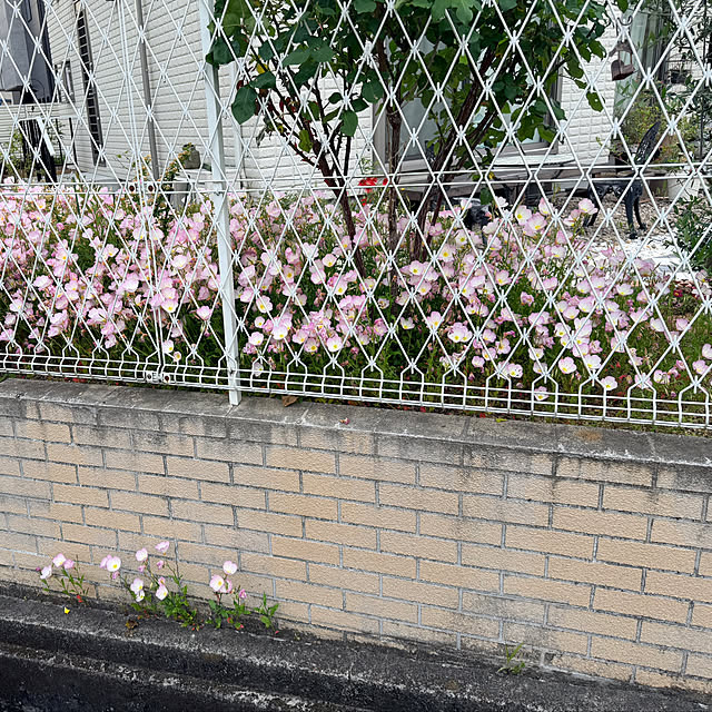 Ayuさんの部屋