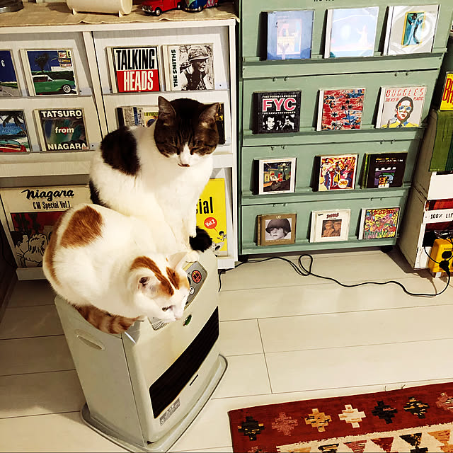 arayanさんの実例写真