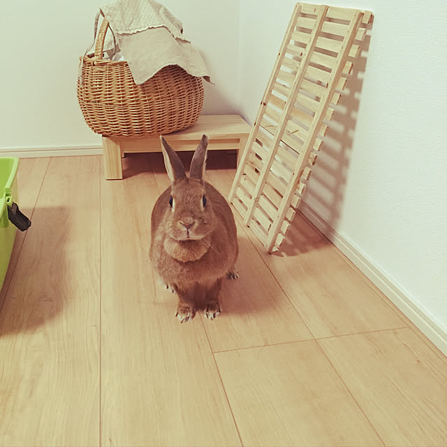 Appleさんの実例写真