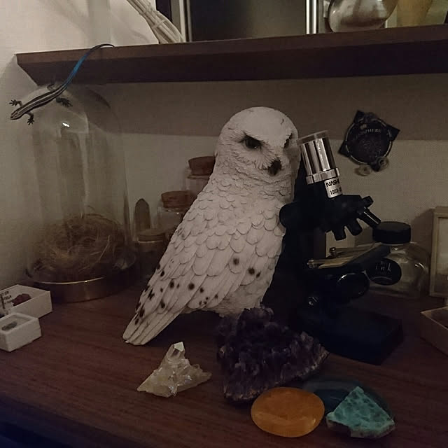 tokiさんの実例写真