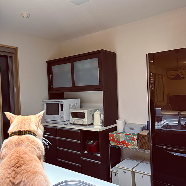 chiiさんの実例写真