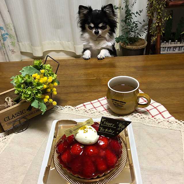 miyakoさんの実例写真