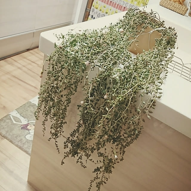 4-mamaさんの実例写真