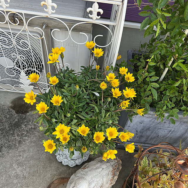 AYUKOさんの部屋