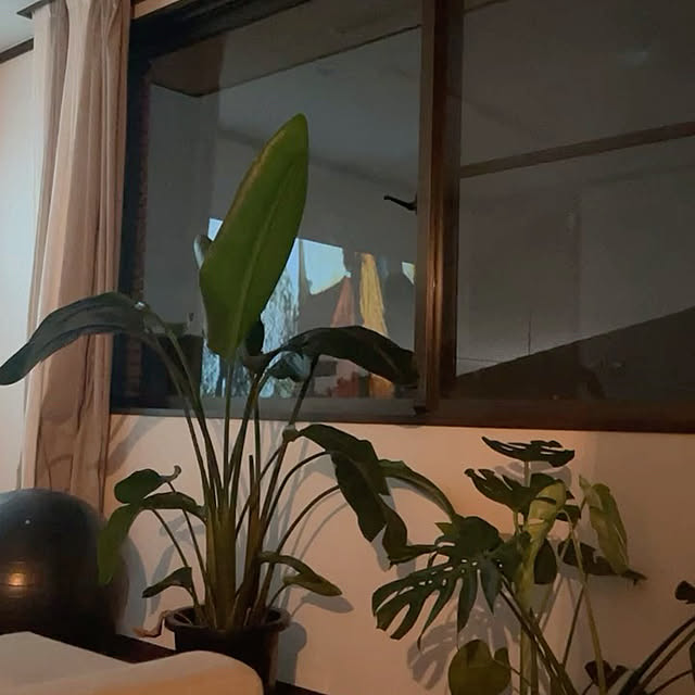 michiさんの実例写真