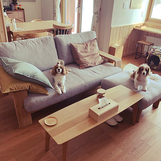 tomoteaさんの部屋
