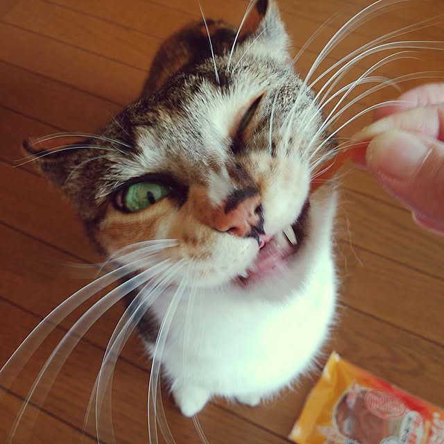 tomo1220さんの実例写真