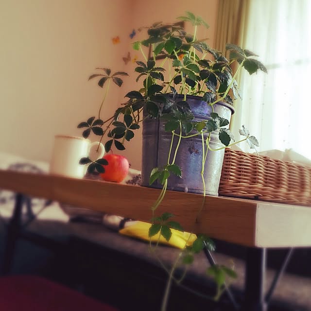 ma.yksさんの実例写真