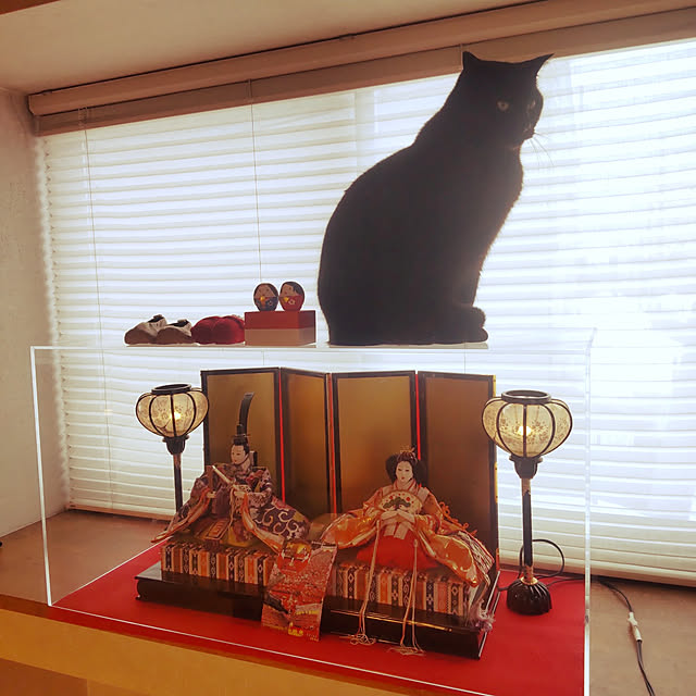 pipiさんの実例写真