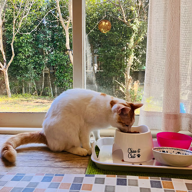 tomorinさんの実例写真