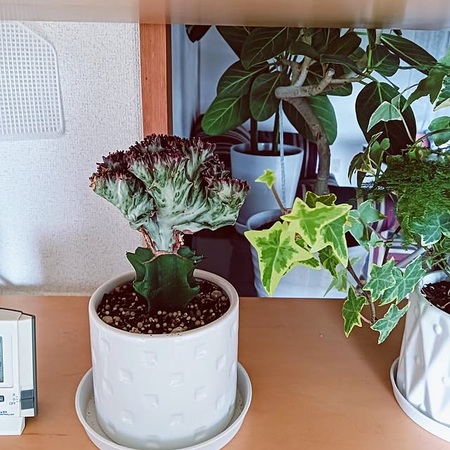 hanachanさんの部屋