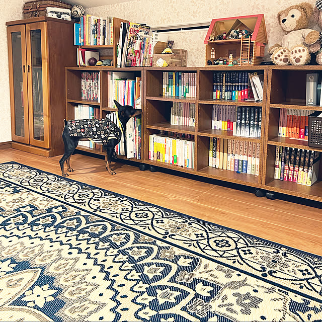 shizuponさんの実例写真
