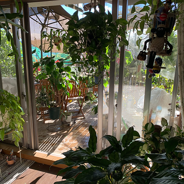 Aqettyさんの部屋
