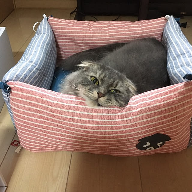 BUNBUNさんの実例写真