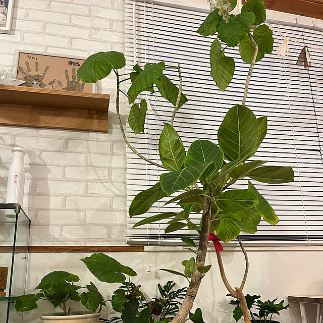 hirariさんの部屋