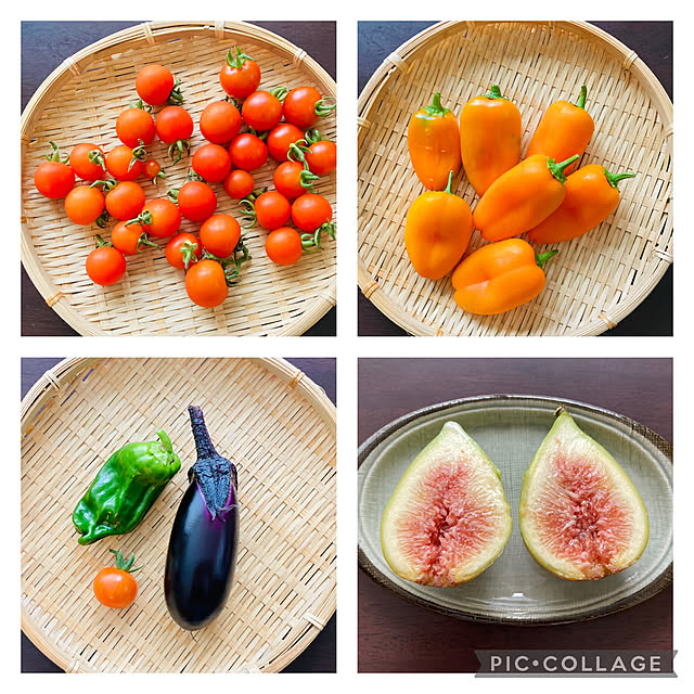 An50さんの実例写真