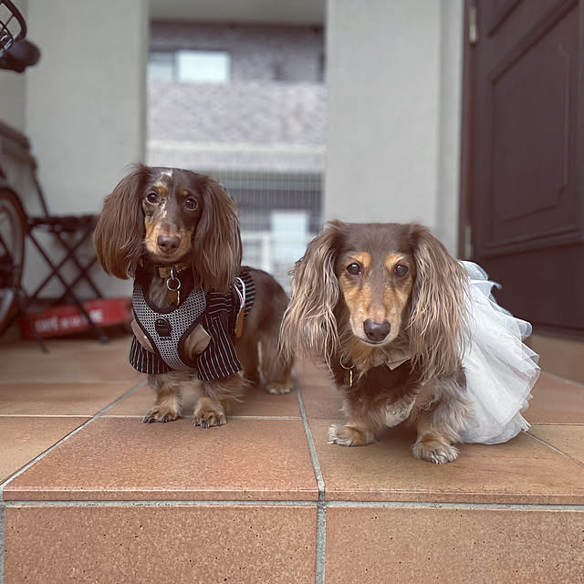 yupponさんの部屋